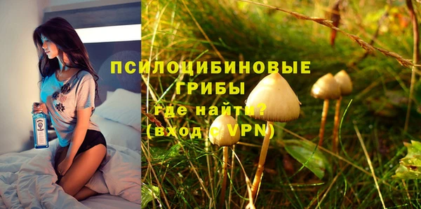 молекула духа Алзамай