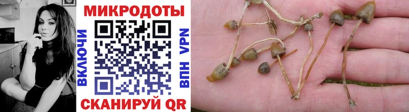 кракен зеркало  Любань  Псилоцибиновые грибы Cubensis  наркотики 